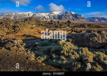 Island-Natur Stockfoto