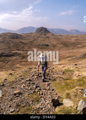 Weibliche Hillwalker zu Fuß in die Langdale Pikes mit Hecht von Stickle in Entfernung, Great Langdale, Lake District, Cumbria, England Stockfoto