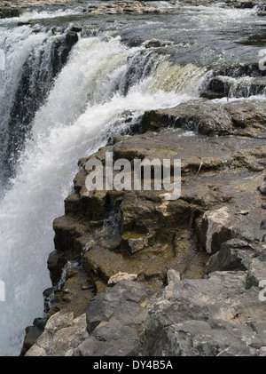 Detailansicht der Haruru Falls, in der Nähe von Paihia, Northland, Neuseeland. Stockfoto