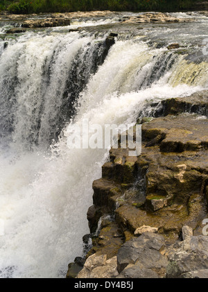 Detailansicht der Haruru Falls, in der Nähe von Paihia, Northland, Neuseeland. Stockfoto