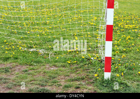 Fußball-Torpfosten und Net mit Blumen Iin Feder Stockfoto