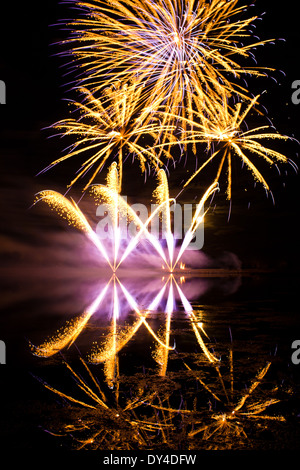 Golden und lila Feuerwerk reflektiert in einem trüben See Stockfoto