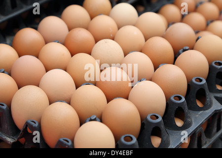 Ei auf Tabletts auf dem Markt Stockfoto