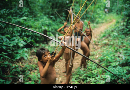 Yanomami Jungs, junge Jäger mit Pfeil und Bogen, lernen zu jagen, während des Spielens im Regenwald. Amazonas, Brasilien Stockfoto