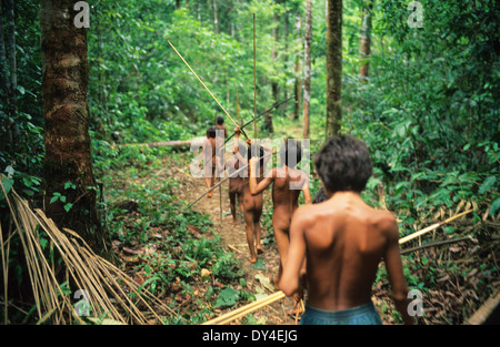 Yanomami Jungs, junge Jäger mit Pfeil und Bogen, lernen zu jagen, während des Spielens im Regenwald. Amazonas, Brasilien Stockfoto