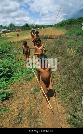 Yanomami Jungs, junge Jäger mit Pfeil und Bogen, lernen zu jagen, während des Spielens im Regenwald. Amazonas, Brasilien Stockfoto