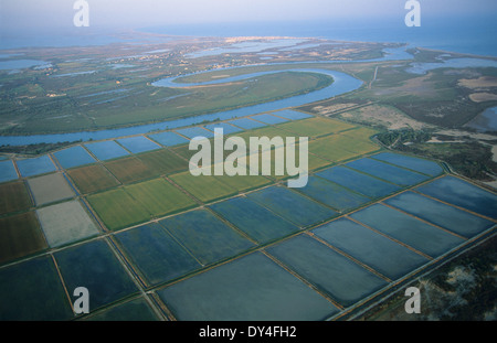 Luftaufnahme über Landwirtschaft und landwirtschaftlichen Nutzflächen, ursprünglich Sumpfland und Feuchtgebiete. Camargue, Frankreich Stockfoto