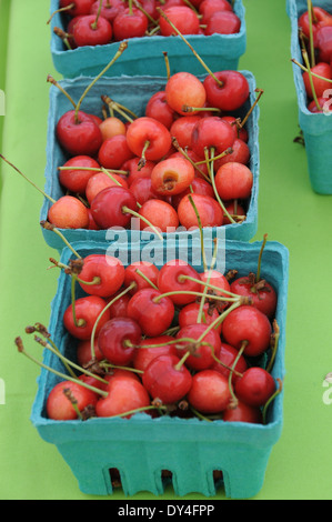 Kirschen sauer auf Verkauf am Bauernmarkt Stockfoto