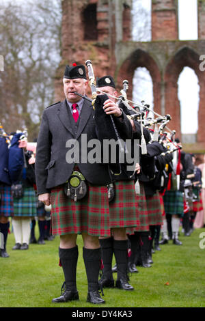 Arbroath, Schottland, Großbritannien, 6. April 2014. Tambourmajor Herr David Gibson die geballte Kinussie & District Pipe Bands in Arbroath Abbey mit Darstellern und Re-enactors bei den Schottischen Homecoming event" der Erklärung von Arbroath Abbey Arboath' auf dem Schottischen Tartan Tag statt. Stockfoto