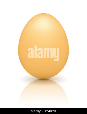 Braune Ei mit Reflexion auf weißem Hintergrund Stockfoto