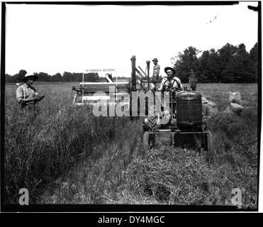 Bauer auf Farmall Traktor mit McCormick-Deering Harvester. Stockfoto