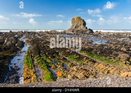 Atemberaubende Felsformationen Widemouth Bay in der Nähe von Bude Cornwall England UK Europe Stockfoto