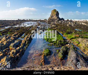 Atemberaubende Felsformationen Widemouth Bay in der Nähe von Bude Cornwall England UK Europe Stockfoto