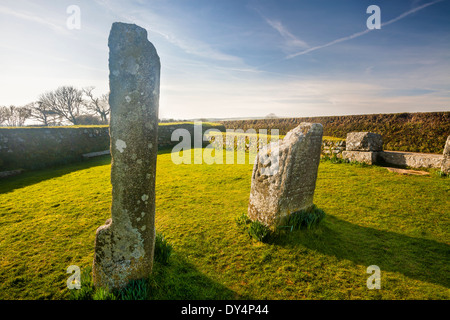 König Donierts Stone bestehend aus zwei Stücke von einem dekorierten 9. Jahrhundert Kreuz, in der Nähe von Bodmin Moor, St Cleer, Cornwall. Stockfoto