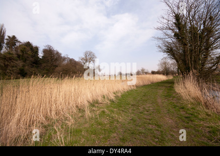 Land Fuß neben dem Militär-Kanal an der Winchelsea East Sussex in England Stockfoto