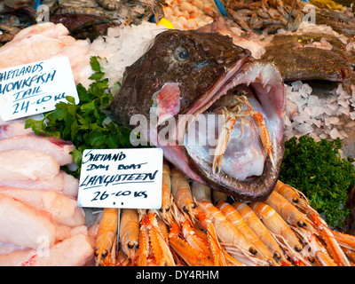 Borough Market Fische stall Verkauf schottischen Shetland Seeteufel Schwanz und Scampi auf Eis im Southwark London, UK KATHY DEWITT Stockfoto