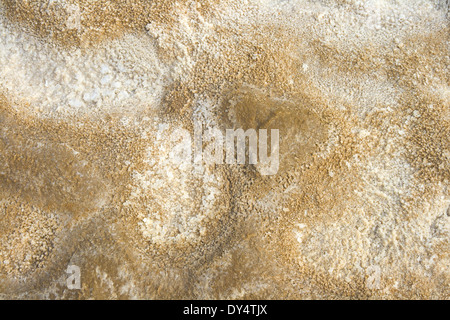 Getrockneten Boden des salzigen Sees Baskunchak, Russland Stockfoto