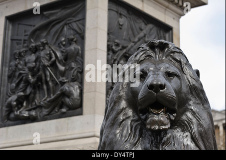 Riesiger Löwe aus Bronze Skulptur an der Basis der Nelson Säule, Trafalgar Square, London, England, Vereinigtes Königreich. Stockfoto