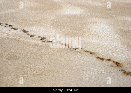 Getrockneten Boden des salzigen Sees Baskunchak, Russland Stockfoto