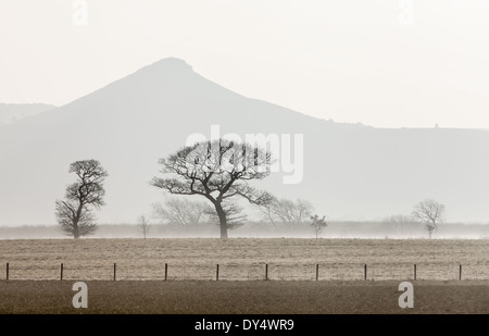 Nähe Topping, frühen Morgennebel, North Yorkshire, England Stockfoto