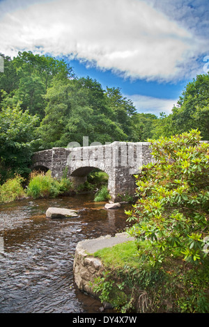 Fingle Bridge über den Fluß Teign, in der Nähe von Drewsteignton, Dartmoor, Devon, England Stockfoto