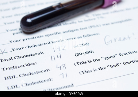 Reagenzglas gefüllt mit Blut und Cholesterin Test Formulardokument Stockfoto