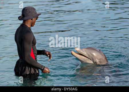 Atlantis Resort & Casino Dolphin Cay Paradise Island Nassau, Bahamas. Stockfoto