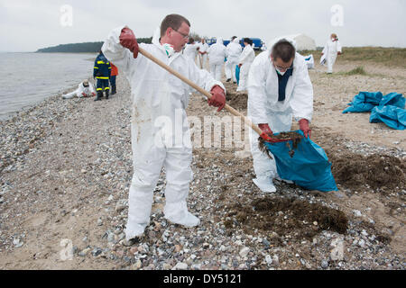 Mitarbeiter der Bundesanstalt für technische Hilfe (THW) Schaufel Sand-Öl-Gemisch in Taschen am Strand Grabow in der Nähe von Zudar auf der Insel Rügen, Deutschland, 6. April 2014. Öl hatte Teile der Strand Neasr Stahlbrode (Festland) sowie Binz und Prora gefunden. Das Öl wird vom THW, Feuerwehr und Helfer entfernt. Berechnungen mit einem Drift-Modell legen Sie die Quelle des Öls in einem Schifffahrtsweg entlang der Inseln Rügen und Usedom. Foto: STEFAN SAUER/DPA Stockfoto