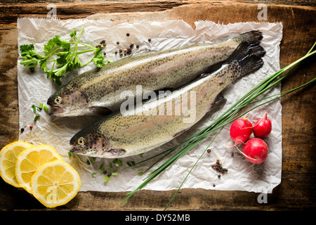 Rohe Makrele Fisch auf dem Papier von oben Stockfoto