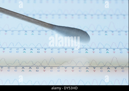 Wattestäbchen mit Speichelprobe über den Bildschirm eines Tablet-Computers, die Ergebnisse der automatischen DNA-Sequenzierung Stockfoto