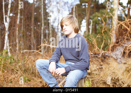 Junge sitzt auf Baumstumpf im Wald Stockfoto