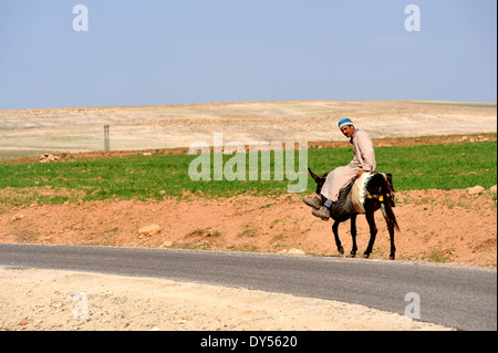 Marokkanischen Mann reitet auf Esel in Natur. In der Nähe von Dorf Agdour in Atlas Ausläufern außerhalb Marrakesch Stockfoto