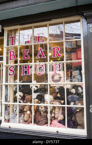 Der Bär-Shop in Elm Hill Norwich UK Stockfoto