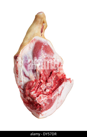 Fleisch, frischen Schweinekeule mit Fett Stockfoto