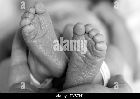 Nahaufnahme von neugeborenen Babys Füße schalenförmig in Händen Stockfoto