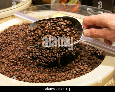 Frische Kaffeebohnen in Self-Service Bin, USA Stockfoto