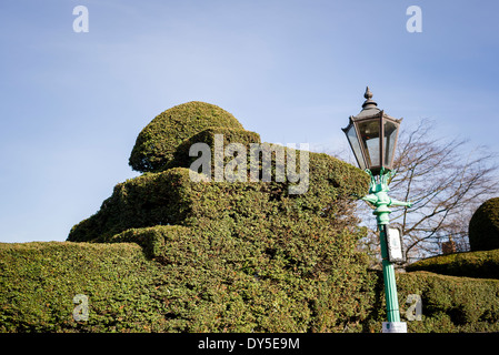 Formschnitt Taxushecke in Stratford On Avon UK Stockfoto