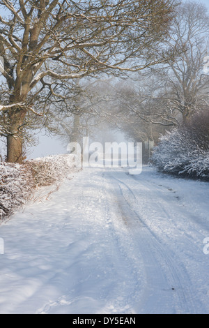 Schnee bedeckt bewaldeten Feldweg, verdichtet und in Eis verwandelt. Melton Mowbray, Leicestershire, England Großbritannien Stockfoto