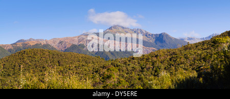 Blick der Treppe Mountain Bereich Olivin, Südalpen von Märtyrer Sattel, West Coast, New Zealand. Stockfoto