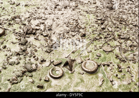 versteckt abgelegten Objekte entdeckt bei Ebbe an Mündung der Themse in Schlamm Schlamm Algen Film bedeckt weggeworfen Stockfoto