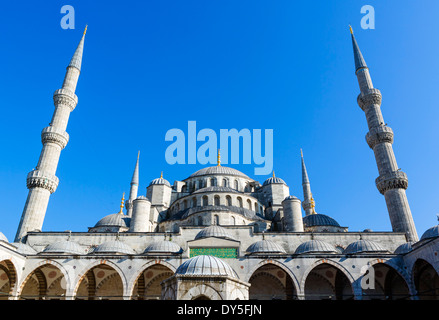 Blaue Moschee (Sultanahmet Camii) vom Hof, Stadtteil Sultanahmet, Istanbul, Türkei Stockfoto