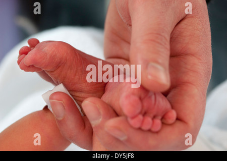 Nahaufnahme von neugeborenen Babys Füße schalenförmig in Händen Stockfoto