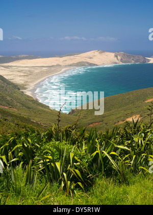 Blick auf den nördlichen Dünen in der Nähe von Cape Reinga, Northland, Neuseeland. Stockfoto