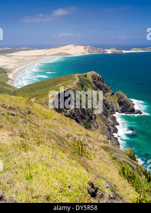 Blick auf den nördlichen Dünen in der Nähe von Cape Reinga, Northland, Neuseeland. Stockfoto