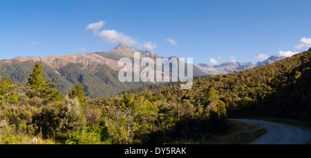 Blick der Treppe Mountain Bereich Olivin, Südalpen von Märtyrer Sattel, West Coast, New Zealand. Stockfoto