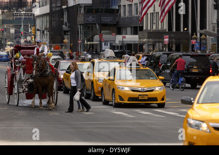 Fußgänger auf Zebrastreifen gelbe Taxis und Pferd und Wagen warten Stockfoto