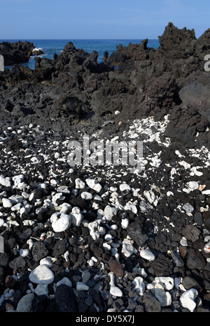 Schwarze Lava und weißen Korallen, Kealakekua Bay, Captain Cook, Kailu Kona, Big Island, Hawaii, USA Stockfoto