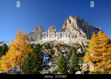 Langkofel Bereich oberhalb der steinernen Stadt mit Lärchen im Herbst Farben, Langkofel reichen, Dolomiten, UNESCO-Weltkulturerbe Stockfoto