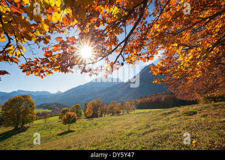 Herbstliche Landschaft in der Nähe von Ramsau, Blick auf Watzmann, Berchtesgadener Land, Berchtesgadener Nationalpark, Oberbayern, Deutschland, Eur Stockfoto