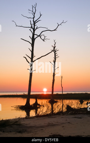 Sonnenaufgang über dem Rehobeth Bay, Delaware. Stockfoto